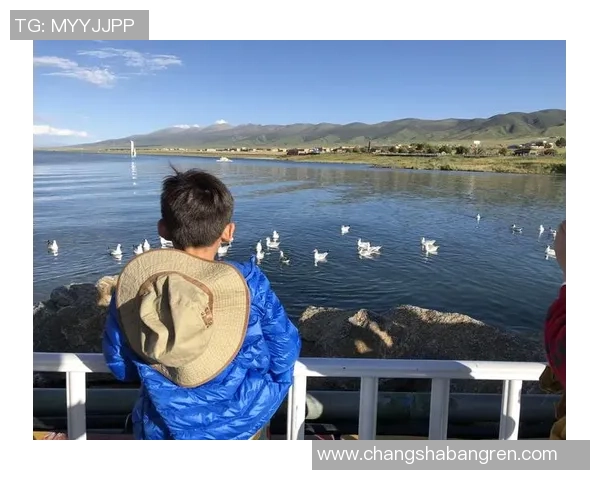 重庆乒乓球队区域防守革新之路探索与实践的深度分析