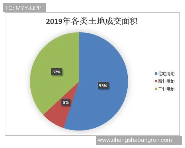 重庆排球队运营分析:成败得失背后的深层原因与未来展望
