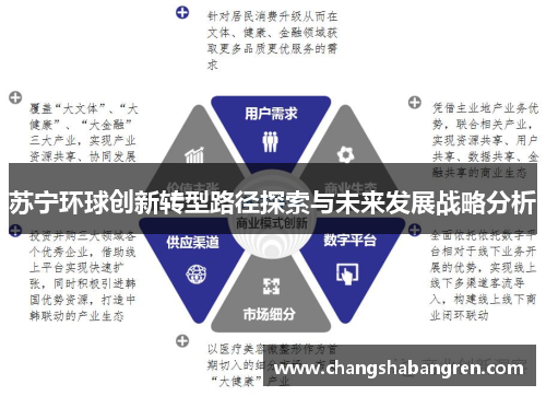 苏宁环球创新转型路径探索与未来发展战略分析